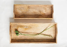 Modern Mango Wood Tray Set