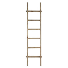 Decorative Wood Ladder - Greenhouse Home