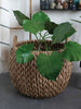 Jumbo Hyacinth Woven Basket Set