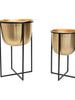 Dynamic Duo - Gold Planters