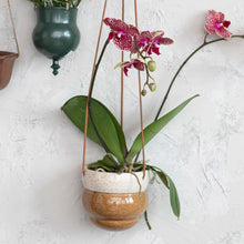 Hang in There - Stoneware Hanging Planter