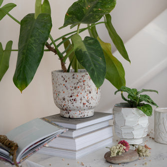 Terrific Terrazzo Terra-cotta Planter