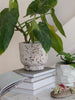 Terrific Terrazzo Terra-cotta Planter