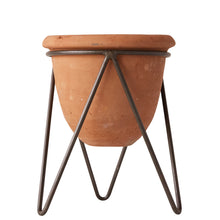 Natural Instincts Terra-cotta Pot