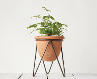 Natural Instincts Terra-cotta Pot