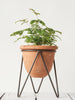 Natural Instincts Terra-cotta Pot