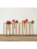 Test Tube Vases in Metal Stand