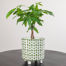 High Contrast Abstract Pot - Green & White