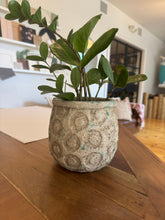 Distressed Green and Blue Terra-cotta Planter with Debossed Circles