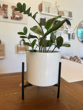 White Speckled Pot with Black Metal Stand