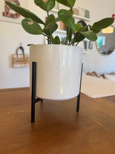 White Speckled Pot with Black Metal Stand