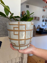 Cream and Taupe Geometric Line Planter