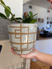 Cream and Taupe Geometric Line Planter