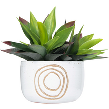 Simple Circles-White Terracotta Planter