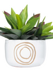 Simple Circles-White Terracotta Planter