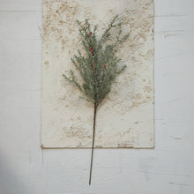 Faux Evergreen Stem with Berries