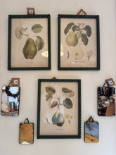 Pear Wall Frame with Green Hobnail Border (3 styles)